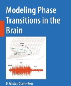 Modeling Phase Transitions in the Brain (PDF)