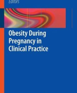 Obesity During Pregnancy in Clinical Practice (EPUB)