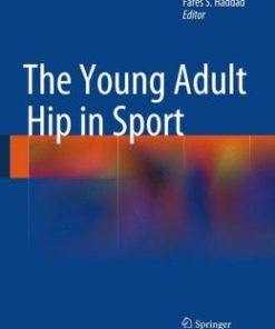 The Young Adult Hip in Sport (EPUB)