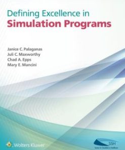 Defining Excellence in Simulation Programs (EPUB)