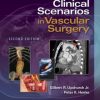 Clinical Scenarios in Vascular Surgery, 2nd Edition (EPUB)