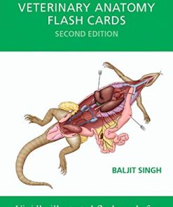 Veterinary Anatomy Flash Cards, 2nd Edition (PDF)