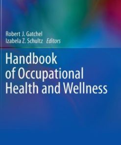 Handbook of Occupational Health and Wellness (EPUB)