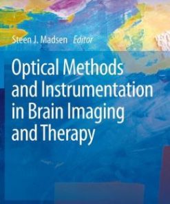 Optical Methods and Instrumentation in Brain Imaging and Therapy (PDF)