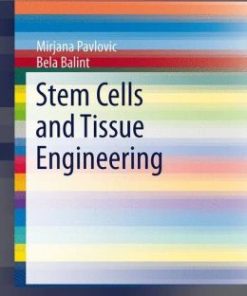 Stem Cells and Tissue Engineering (EPUB)