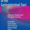 Early Neoplasias of the Gastrointestinal Tract: Endoscopic Diagnosis and Therapeutic Decisions (EPUB)