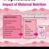 Human Placental Trophoblasts: Impact of Maternal Nutrition