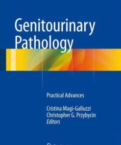 Genitourinary Pathology: Practical Advances (EPUB)