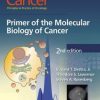 Cancer: Principles & Practice of Oncology, 2nd Edition: Primer of the Molecular Biology of Cancer (EPUB)