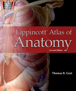 Lippincott Atlas of Anatomy, 2nd Edition (High Quality PDF)