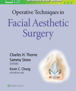 Operative Techniques in Facial Aesthetic Surgery (EPUB)