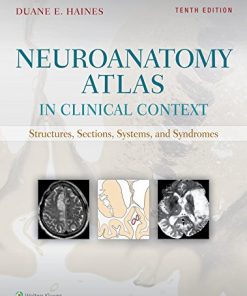 Neuroanatomy Atlas in Clinical Context: Structures, Sections, Systems, and Syndromes, 10th Edition (PDF)