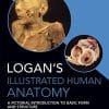 Logan’s Illustrated Human Anatomy (PDF)