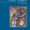 Essentials of Plastic Surgery, Second Edition