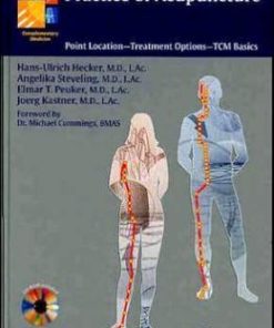 Practice of Acupuncture: Point Location – Treatment Options – TCM Basics