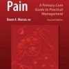 Chronic Pain: A Primary Care Guide to Practical Management / Edition 2 (PDF)