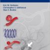 Handbook of Neuroendovascular Surgery