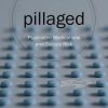 Pillaged: Psychiatric Medications and Suicide Risk