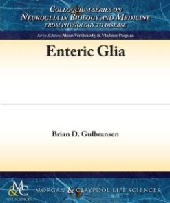 Enteric Glia