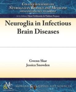 Neuroglia in Infectious Brain Diseases