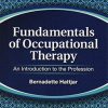 Fundamentals of Occupational Therapy: An Introduction to the Profession