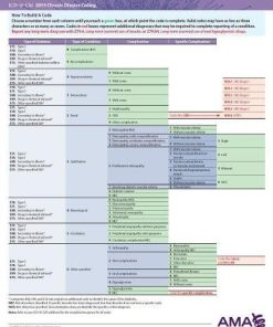 ERC-ICD-10 Chronic Disease 2019 – Diabetes/Obesity/hypertension/hyperlipidemia (EPUB)