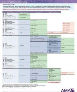 ERC-ICD-10 Chronic Disease 2019 – Substance Abuse/Chronic Mental Disorders/Dementia (EPUB)