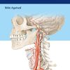 Neurosurgery Fundamentals (PDF)