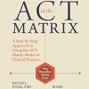 The Essential Guide to the ACT Matrix: A Step-by-Step Approach to Using the ACT Matrix Model in Clinical Practice