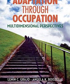 Adaptation Through Occupation: Multidimensional Perspectives