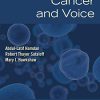 Non-Laryngeal Cancer and Voice (PDF)