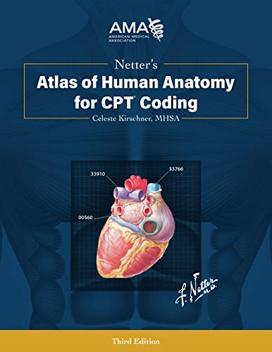 Netter’s Atlas of Human Anatomy for CPT Coding, Third Edition (EPUB) Netter’s Atlas of Human Anatomy for CPT Coding, Third Edition (EPUB)