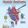 A Visual Analogy Guide to Human Anatomy, 5th Edition (High Quality Image PDF)