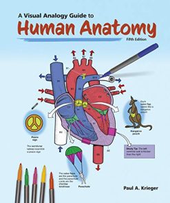 A Visual Analogy Guide to Human Anatomy, 5th Edition (High Quality Image PDF)