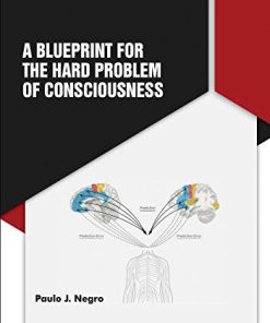 A Blueprint for the Hard Problem of Consciousness (PDF)