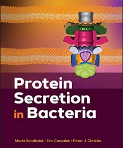 Protein Secretion in Bacteria (ASM Books) (PDF)