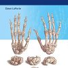 Synopsis of Hand Surgery (PDF)