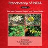 Ethnobotany of India, Volume 5: The Indo-Gangetic Region and Central India (EPUB)