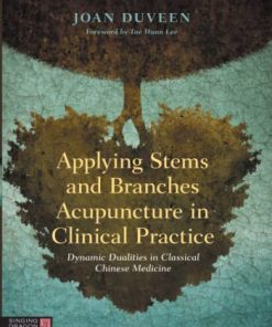 Applying Stems and Branches Acupuncture in Clinical Practice (EPUB)