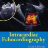 Intracardiac Echocardiography (PDF)