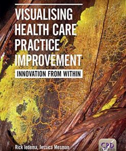 Visualising Health Care Practice Improvement: Innovation from Within (PDF)