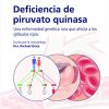 Fast Facts: Deficiencia de piruvato quinasa para pacientes y familiares (Spanish Edition) (PDF)