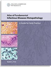 Atlas of Fundamental Infectious Diseases Histopathology (Converted PDF)