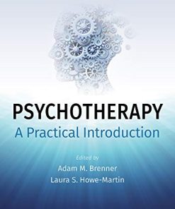 Psychotherapy: A Practical Introduction (EPUB)