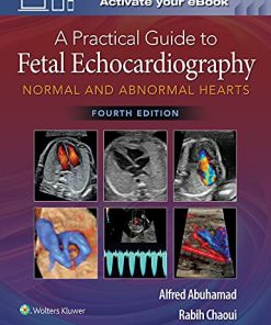 A Practical Guide to Fetal Echocardiography: Normal and Abnormal Hearts, 4ed (ePub+Converted PDF)