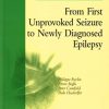 From First Unprovoked Seizure to Newly Diagnosed Epilepsy (PROGRESS IN ELIPTIC DISORDERS) (PDF)