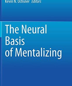 The Neural Basis of Mentalizing (PDF)