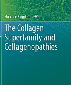 The Collagen Superfamily and Collagenopathies (PDF)