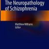 The Neuropathology of Schizophrenia (PDF)