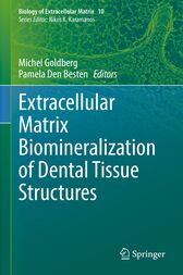 Extracellular Matrix Biomineralization of Dental Tissue Structures (PDF)